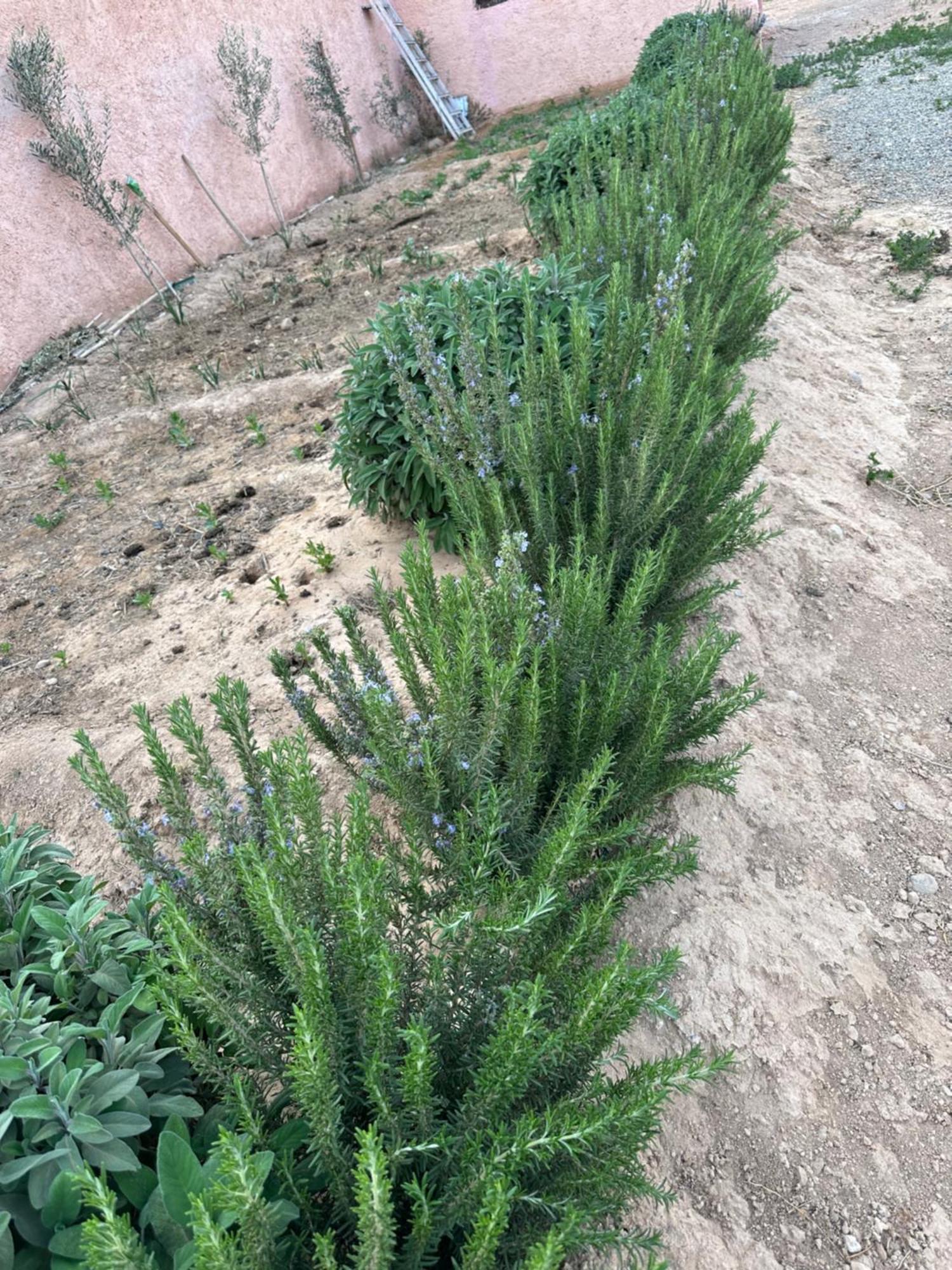 Dar Al Qanass Imane Hostel Midelt Luaran gambar
